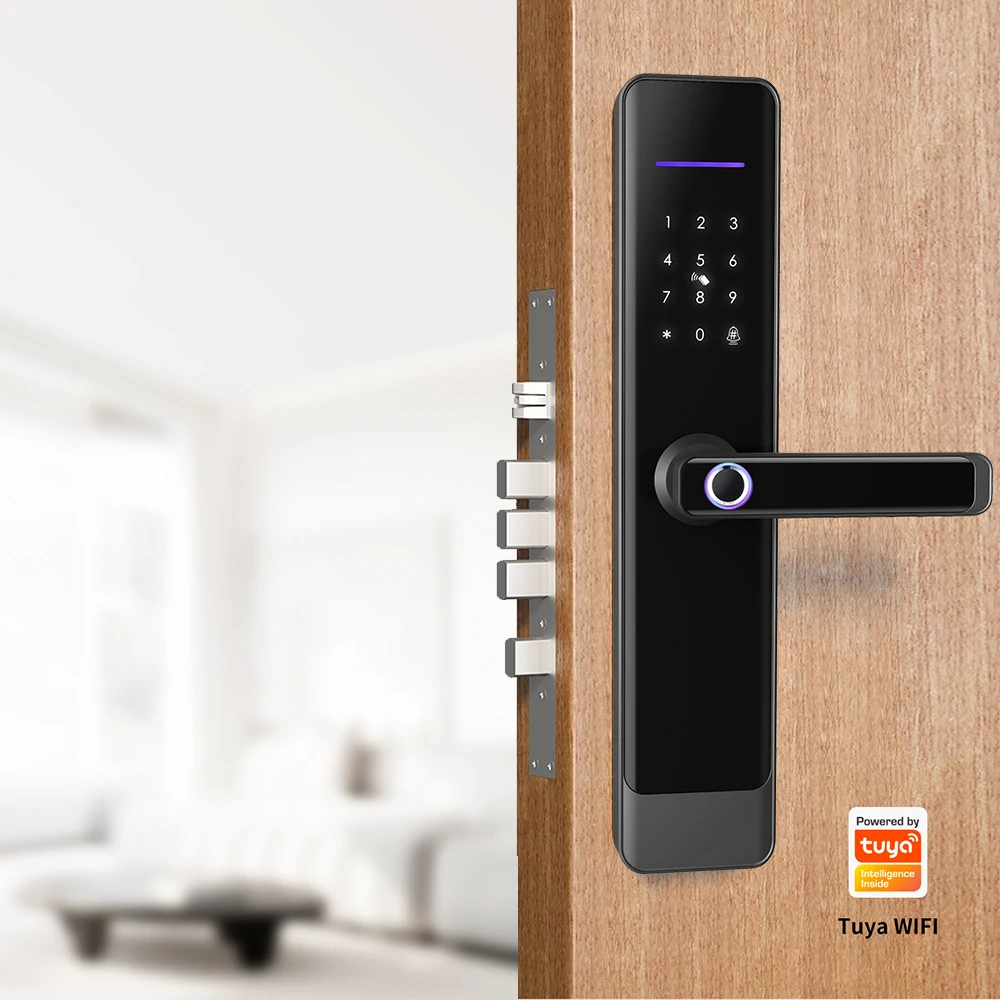 Smart door lock wifi
